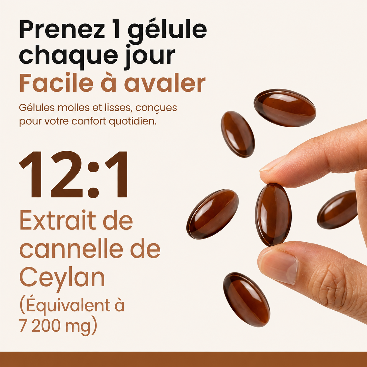 Cannelle de Ceylan Équivalent à 7200mg avec huile MCT