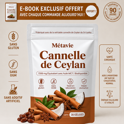 Cannelle de Ceylan Équivalent à 7200mg avec huile MCT